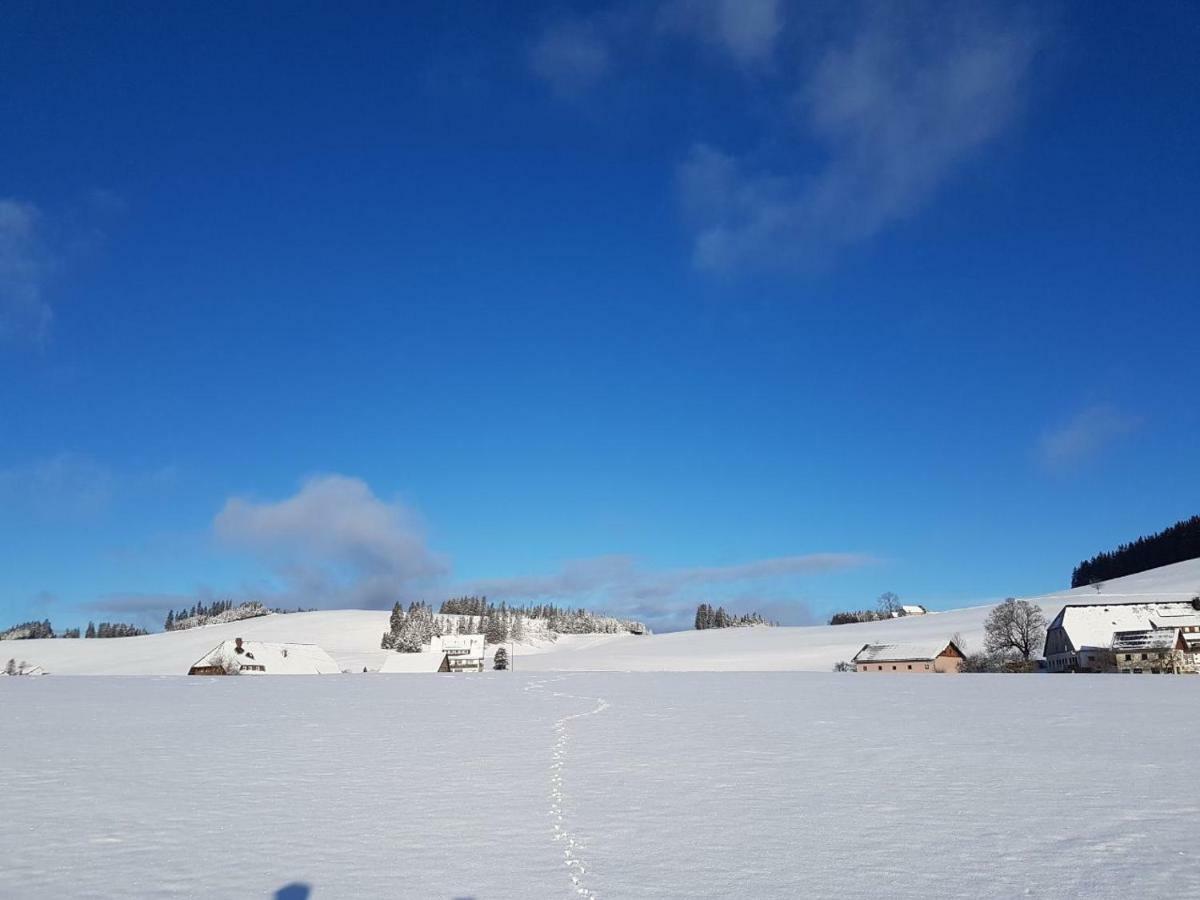 Chalet Breitnauschoen Dış mekan fotoğraf