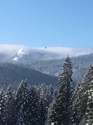 Chalet Breitnauschoen Dış mekan fotoğraf