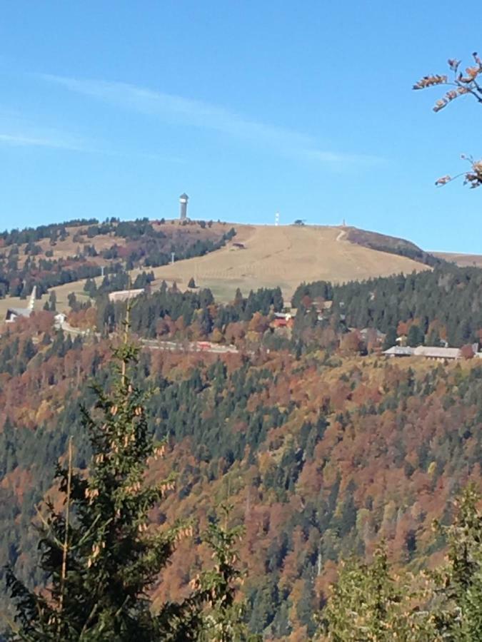 Chalet Breitnauschoen Dış mekan fotoğraf